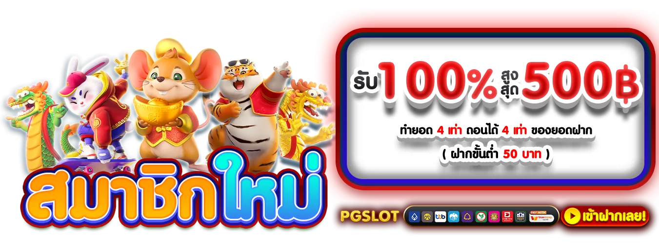 โปรโมชั่นแนะนำ catsom